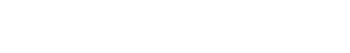 FIRST INVESTMENT INTERNATIONAL BANK INC